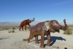 PICTURES/Borrega Springs Sculptures - Elephants, Gomphothe & Mammoths/t_P1000466.JPG